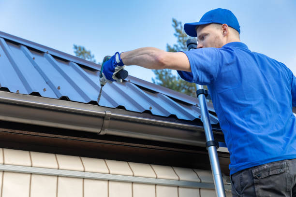 Best Roof Moss and Algae Removal  in Peotone, IL
