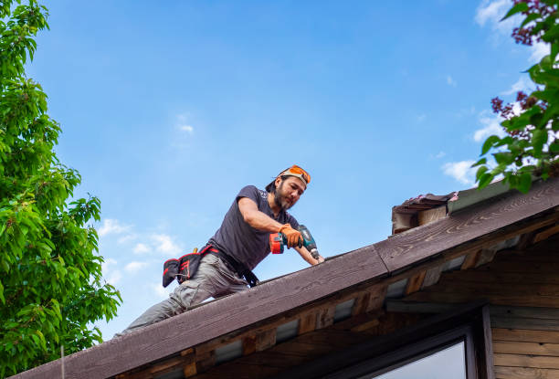 Best Solar Panel Roofing Installation  in Peotone, IL